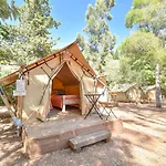 キャンプ場 Eco Camp - Sustainable & Glamping *