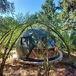 Eco Camp - Sustainable & Glamping * サレマ