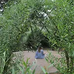 Eco Camp - Sustainable & Glamping Kemp *