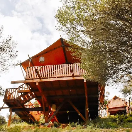 Campingplads Eco Camp - Sustainable & Glamping *