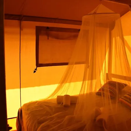 Eco Camp - Sustainable & Glamping 营地 *