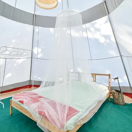 Eco Camp - Sustainable & Glamping * サレマ