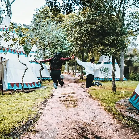 Eco Camp - Sustainable & Glamping *