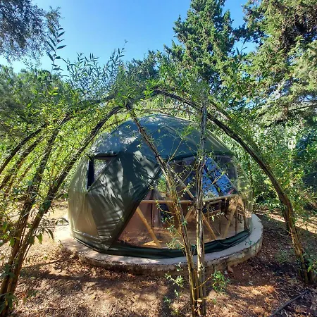 Eco Camp - Sustainable & Glamping * 塞勒玛