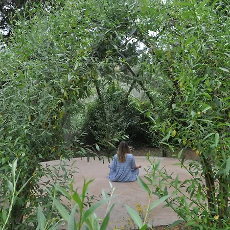 Eco Camp - Sustainable & Glamping Campingplads *