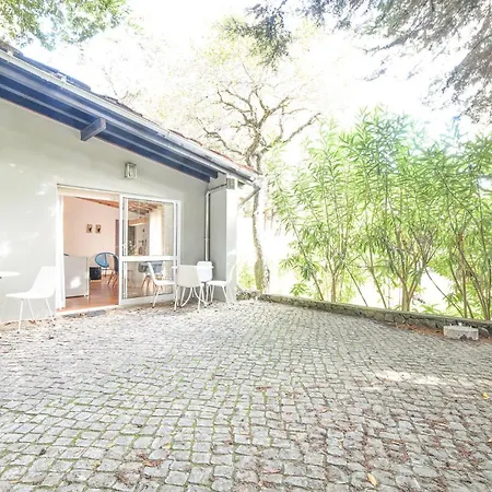 Eco Camp - Sustainable & Glamping Kemping *