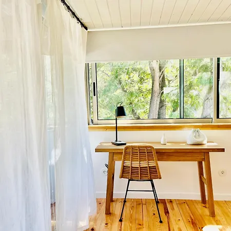 Eco Camp - Sustainable & Glamping Salema