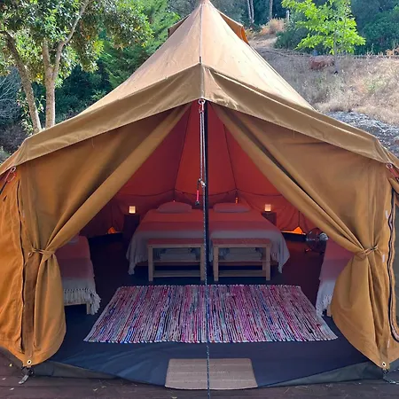 Eco Camp - Sustainable & Glamping *